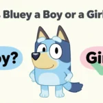 Is Bluey a Boy or a Girl