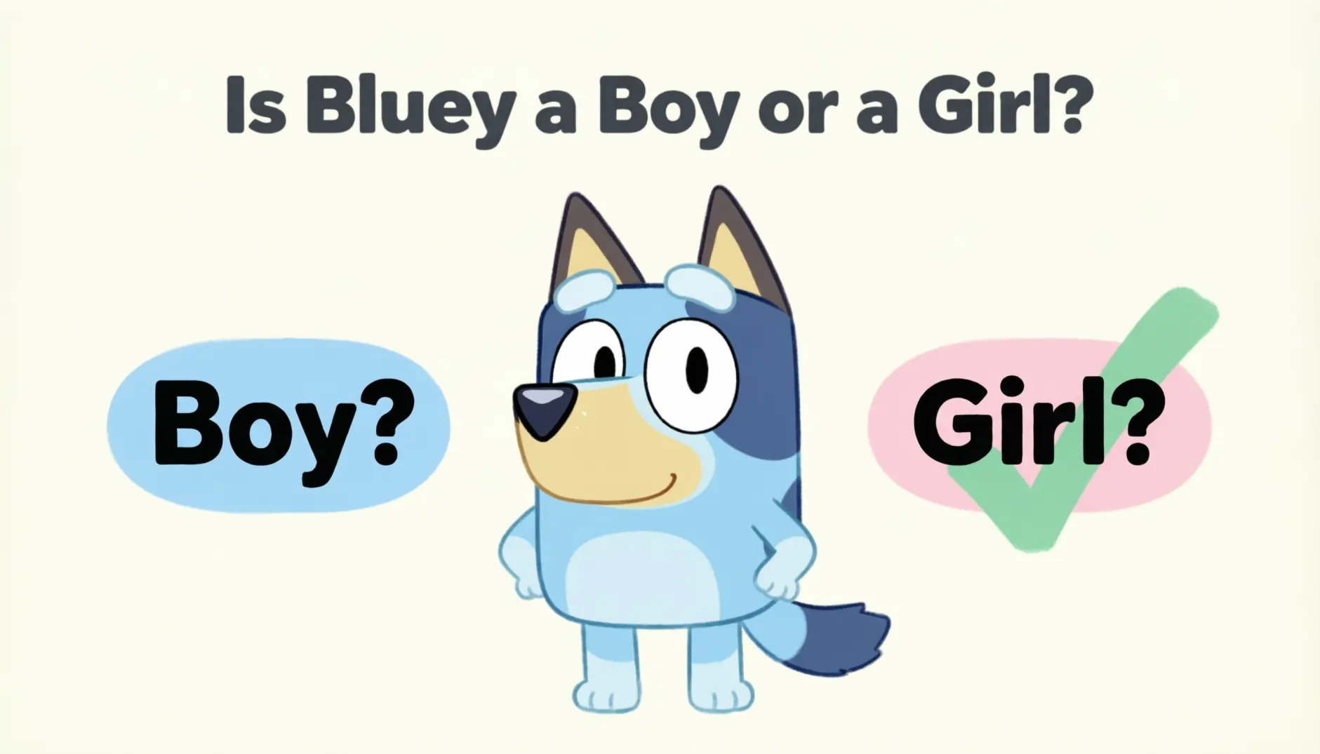 Is Bluey a Boy or a Girl
