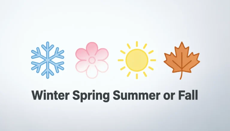 Winter Spring Summer or Fall